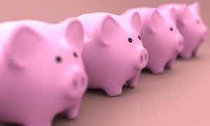 Piggy banks representing why you should bank with a credit union. 