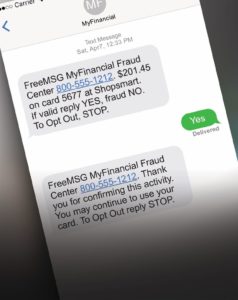 Financial Fraud Text Alerts