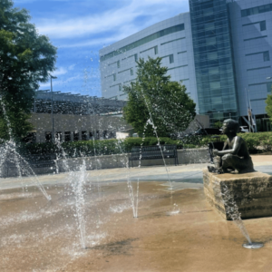 Moline Parks & Bass Street Landing, Summer Fun partner with TFCU